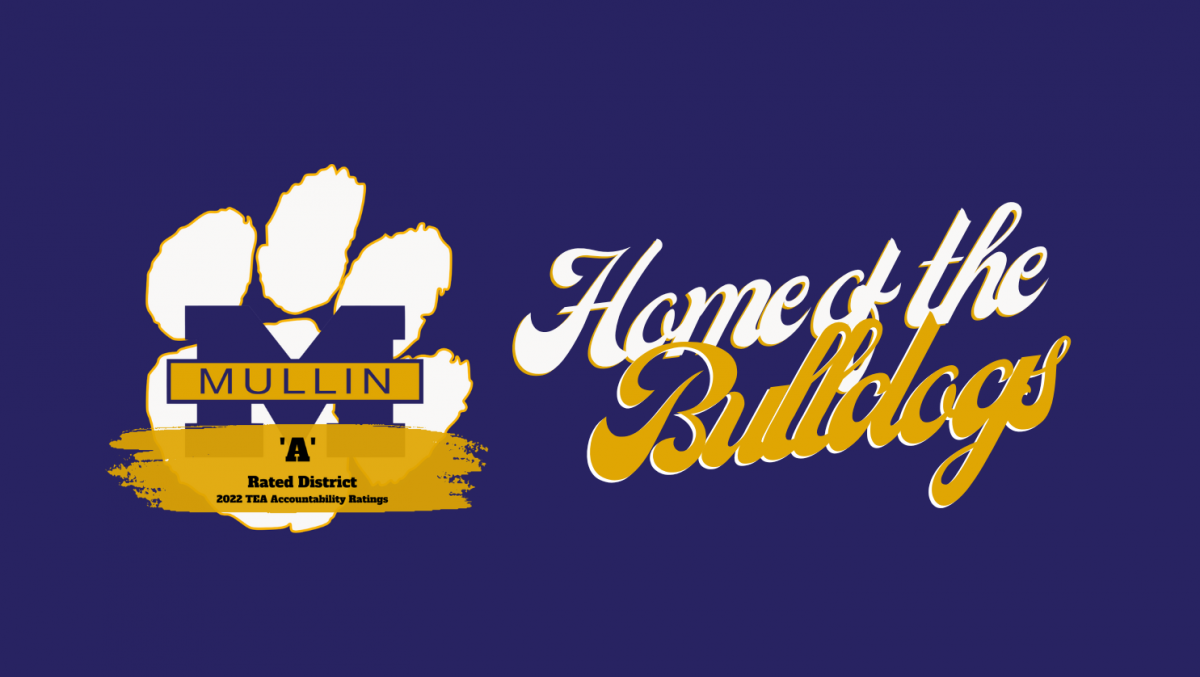 MISD landing page image